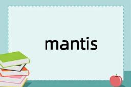 mantis