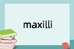 maxilliped