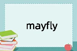 mayfly