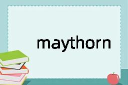 maythorn