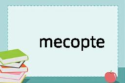 mecopteran