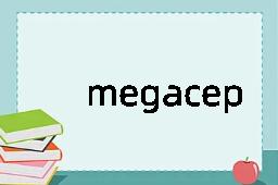 megacephalic