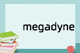 megadyne