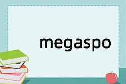 megaspore