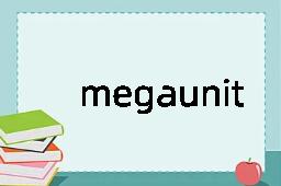 megaunit