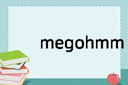 megohmmeter