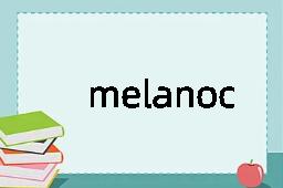 melanocarcinoma