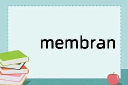 membranaceous