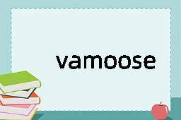 vamoose