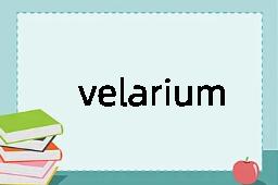 velarium