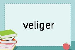 veliger