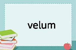 velum