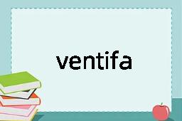 ventifact