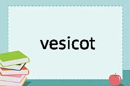 vesicotomy