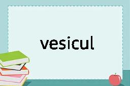 vesicular