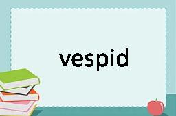 vespid