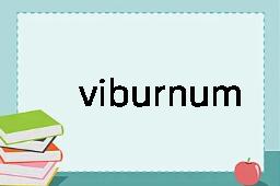 viburnum