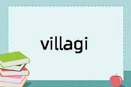 villagization