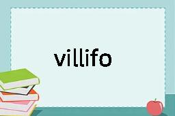 villiform