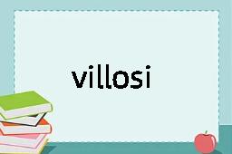 villosity