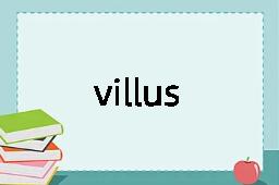 villus