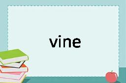 vine