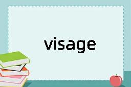 visage