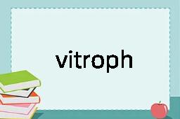 vitrophyre