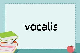 vocalisation