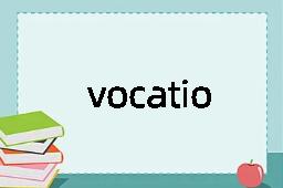 vocationally