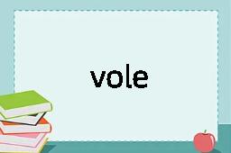 vole