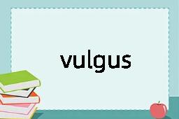 vulgus