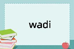 wadi