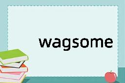 wagsome