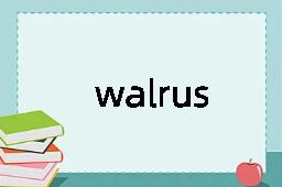 walrus