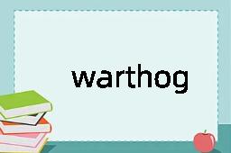 warthog