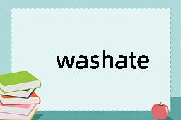 washateria