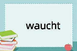 waucht