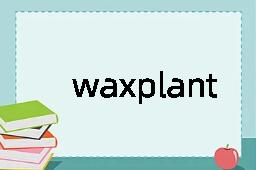 waxplant