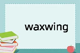 waxwing