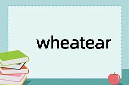 wheatear