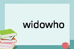 widowhood