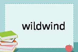 wildwind