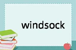 windsock