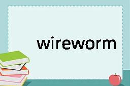 wireworm