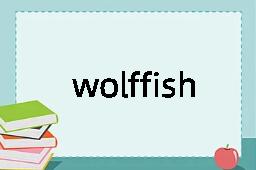 wolffish