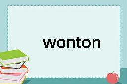 wonton