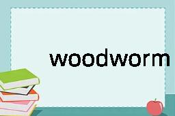 woodworm