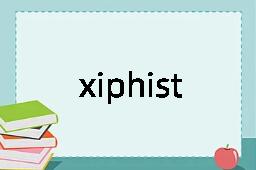 xiphisternum