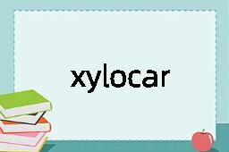 xylocarpous